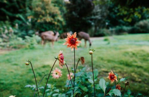 Private 5 Acre CabinHotTubGameRoom by OlympicNP - Foto 69