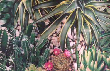 Mango House - Foto 24