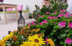 Polidoros house - Foto 24