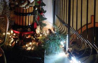 Le Stagioni di Bacco - Foto 18