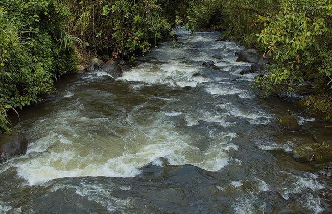Tubing sur la rivière Mindo - Photo 1