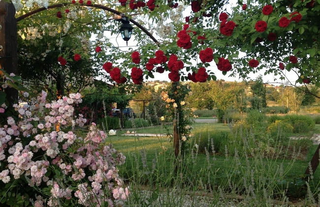 Abbazia Sette Frati Agriturismo Fratres - Photo 29