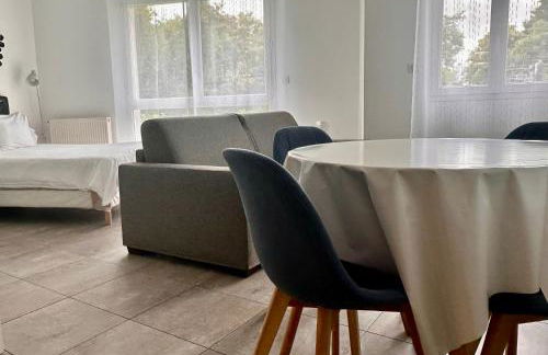 Residence 4T - 33 Avenue Gaston Chauvin - Foto 13