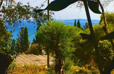 Anna's cottage house - Foto 61