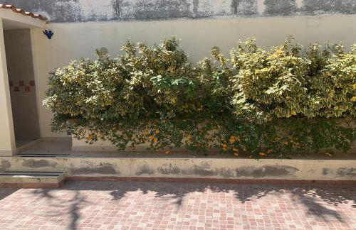 Mari-Mare Home - Foto 32