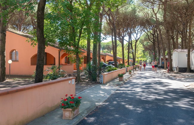 Bungalow in Po Delta Park With Beach Access - Foto 36