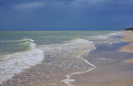 Guest suite - Waterfront -Pool & Hot tub- Walk to Beach - Foto 24