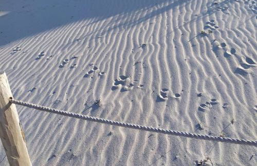 Villetta DESSANAI - Foto 60