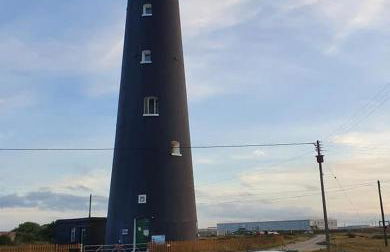 Sea Shells - Foto 38