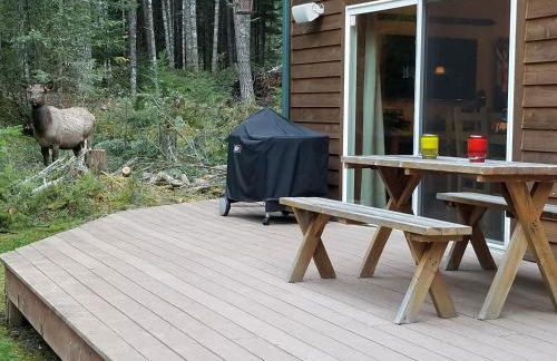 Cozy Studio Apartment - Foto 14