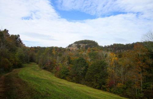 Alice Rocks - Pet Friendly, Firepit, WiFi - Foto 39