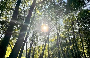 GrandBytyń House - Foto 63