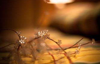 B&B Residence Checrouit - Foto 37