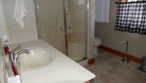 Mountain Maryland! Bear in the Woods - Foto 2