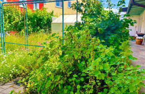 Ride & Rest, Budget, Waschmaschine, Wohnzimmer, Küche, Radlgarage - Foto 14