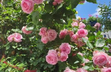 Ferienhaus Haus Herzog - Foto 70