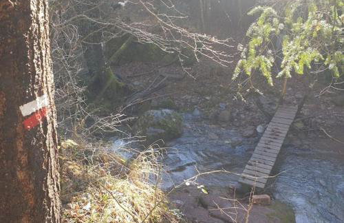 Precioso apartamento en el Pirineo Catalán - Foto 3