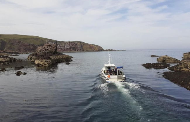 Elmbank House Apartment With Island Views - Foto 19