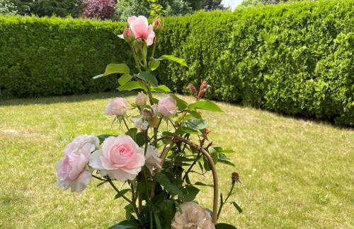 Heidehummel - Foto 21