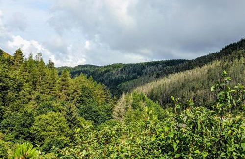 Cape Cottage - Photo 18