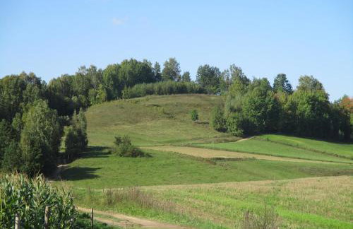 Dworek Telimena - Foto 34