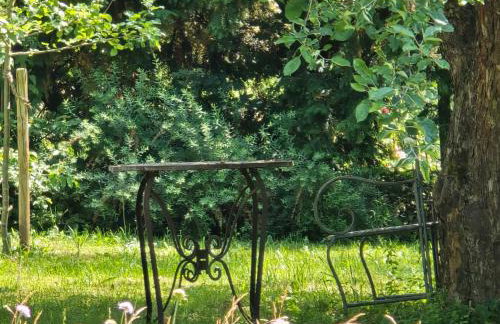 Exklusive Ferienwohnung Bad Salzschlirf - direkt am Waldrand - großer Garten kompett umzäunt - Hunde willkommen - 2 private Stellplätze - Foto 58