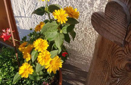 Ferienwohnung Schmied - Foto 13