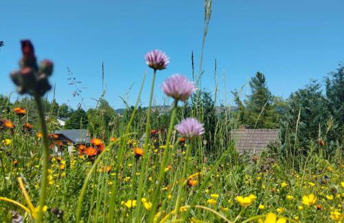 Dottie's Place - Foto 40