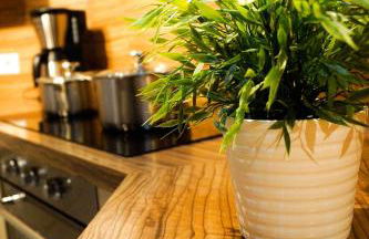 Besondere Ferienwohnung Spirit auf idyllischem Reiterhof nahe Burg Eltz - Foto 19