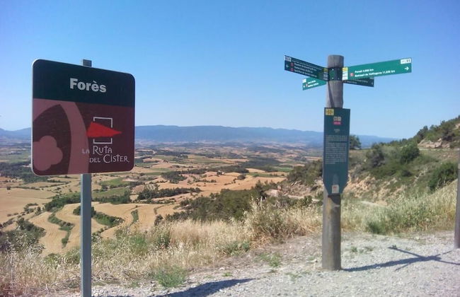 Rural Horizons - Foto 24