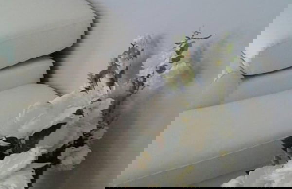 Casa Annick Holiday Home Chianti Area Florence - Photo 10