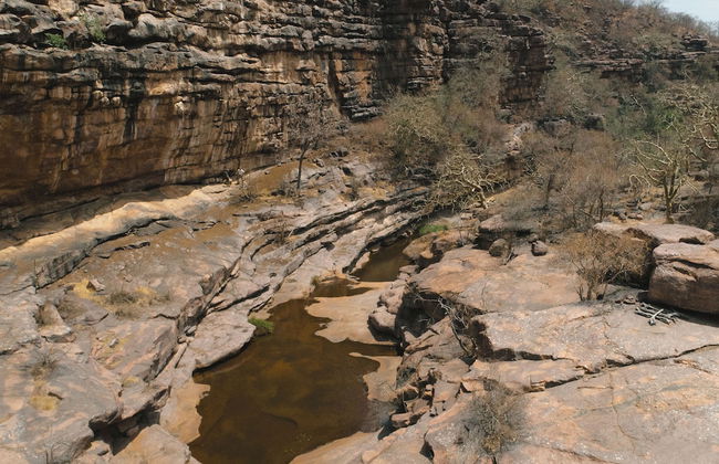 Buccara Waterberg - Molapo - Photo 80