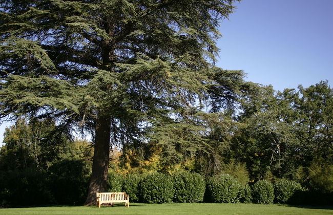 Les Gites du Château Mont D'onel - Foto 39
