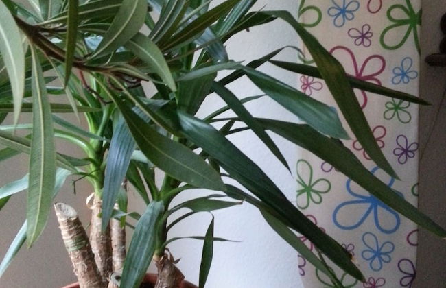 Kurmittelhaus Wagner Belvita - Photo 47