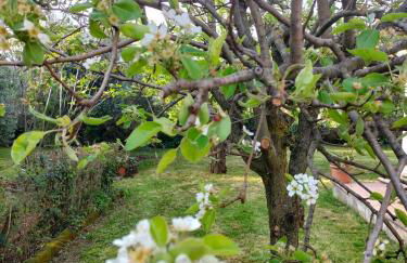 Casale del sole - Foto 14