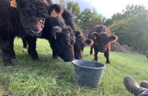 Ferienhaus Fischerhaus - Ruhe und Natur an der Dordogne - Foto 58