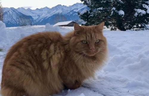 Hemerhof - Ferienwohnungen - Foto 2