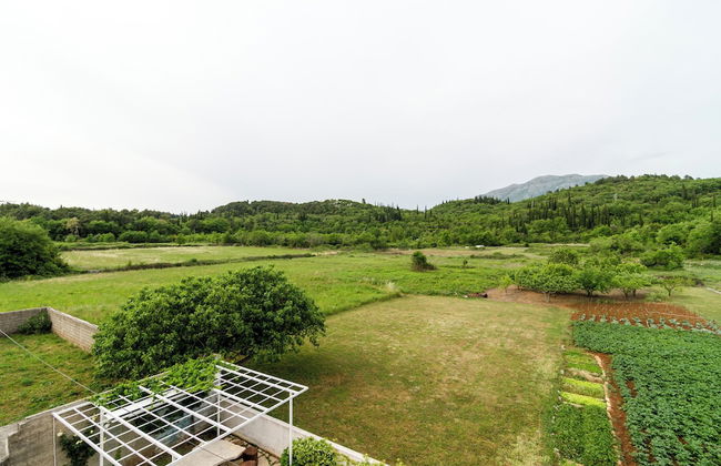 Apartments Dubrovnik Banac - Photo 30