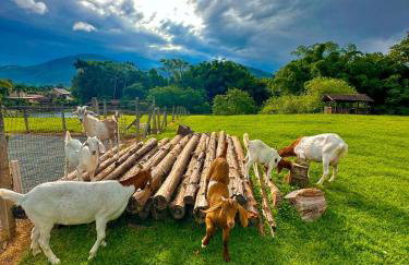 Hospedagem Zilz - Foto 1