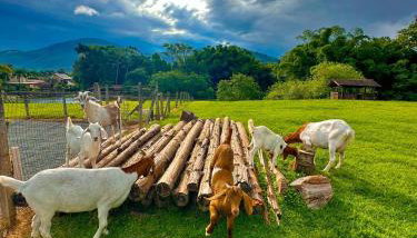 Hospedagem Zilz - Foto 1, Garden, Garden view