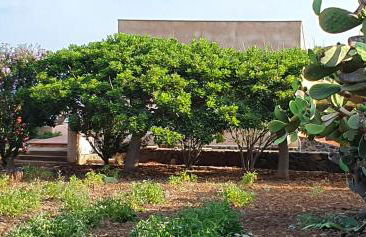 La casa sotto le stelle - Ustica - Foto 21