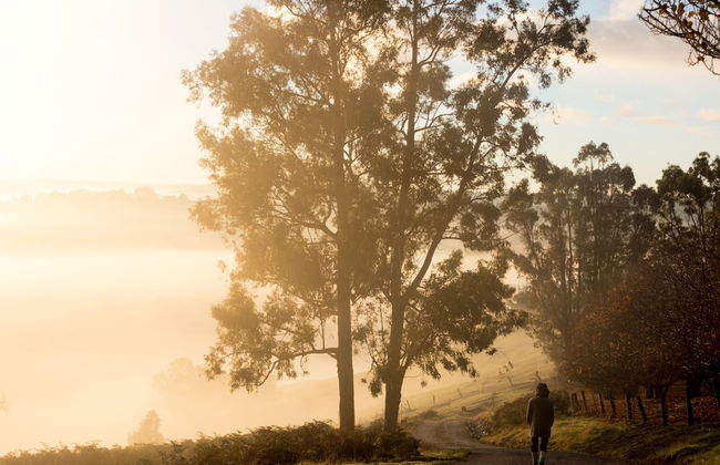 Balingup Heights Hilltop Forest Cottages - Foto 58