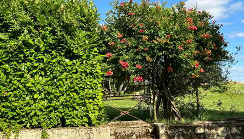 Gîte En Damé with pool - Photo 4, Garden view