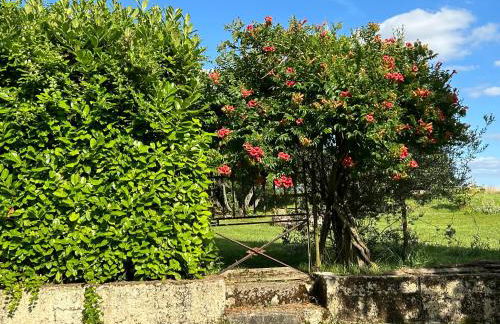 Gîte En Damé with pool - Photo 4