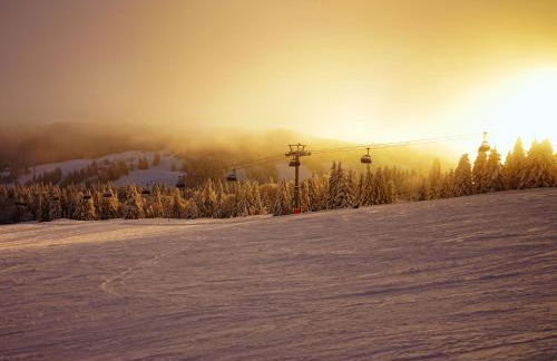 Black Forest Luxury Apartment Bärenhöhle mit Sauna - Foto 42