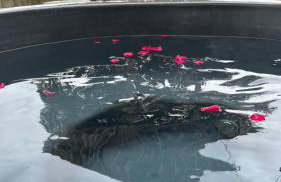 Bridie -rose with wood tub country retreat mini zoo - Foto 47