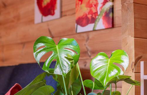 Weingut und Ferienhof Josef Huber - Photo 69