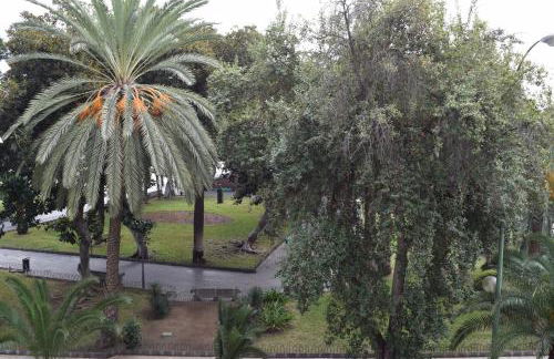 Apartamentos Hotel Parque - Foto 40