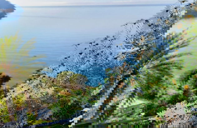 Hanging Garden with Air Conditioning - Foto 46