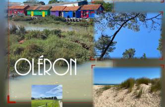 La Fleur des Marais - Maison tout confort au calme, grand jardin & balançoire - Foto 38